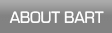 About Chicago Professional Photographer